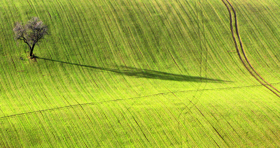 Colline Marchigiane