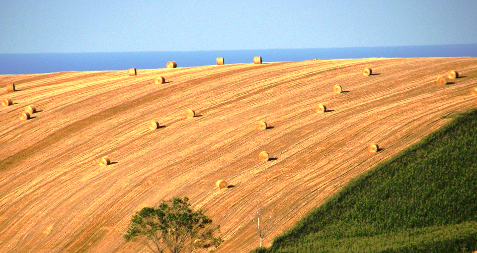 Agriturismo nelle colline delle Marche